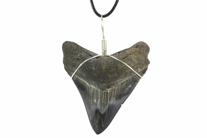 Fossil Megalodon Tooth Necklace #95230